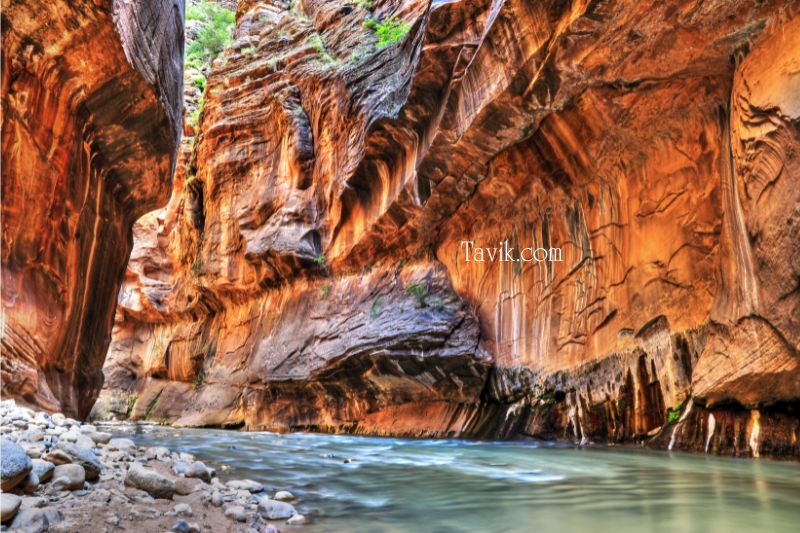 Amazing Facts about Zion National Park