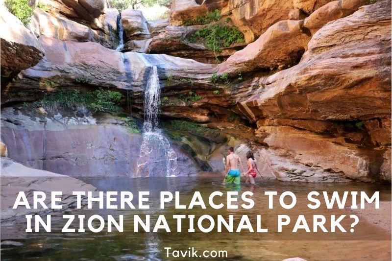 Are There Places To Swim In Zion National Park? Discover The Best Swimming Holes 2022