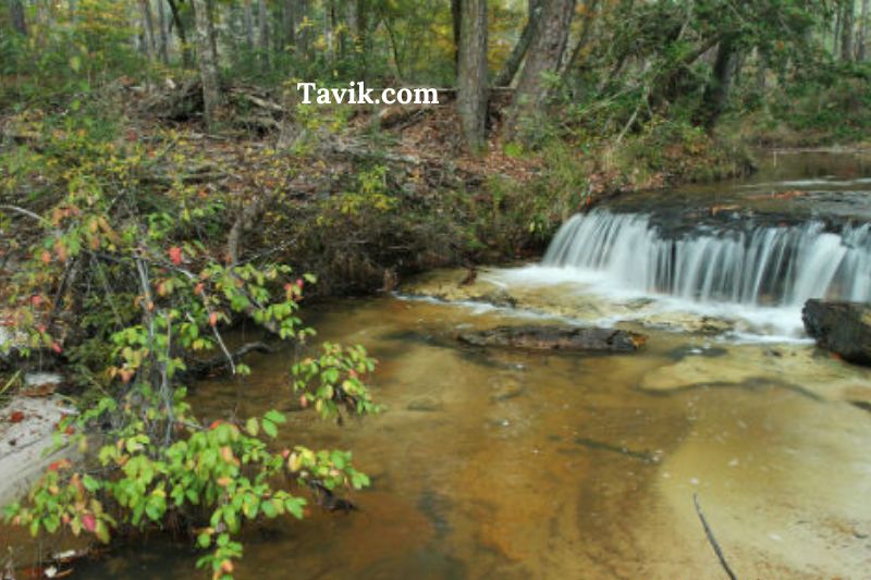 Boykin Springs