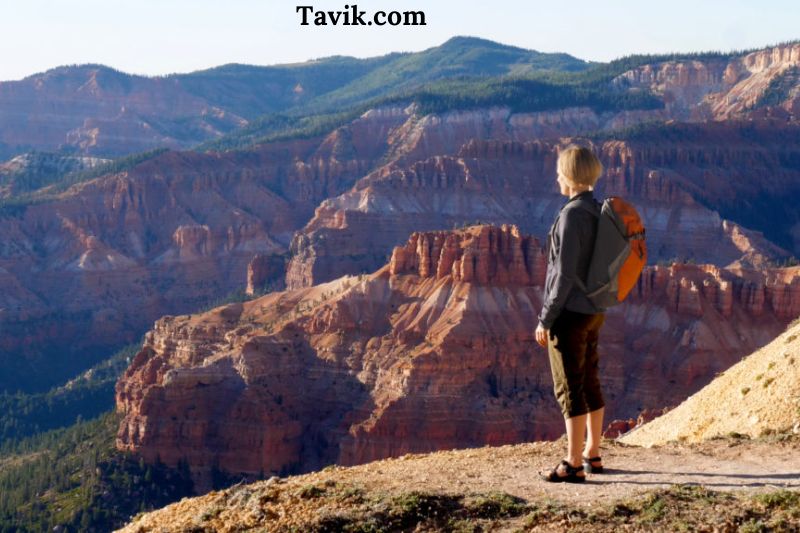 Cedar Breaks National Monument: Cliffs and Bristlecone Pines