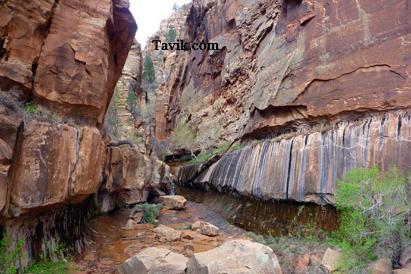 Explore the Narrows of Water Canyon by hiking