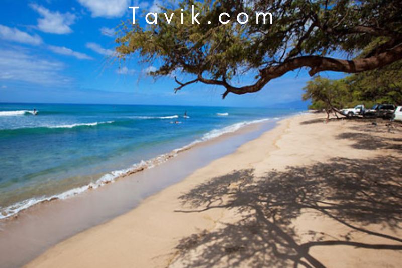 Grandma's Surf Break