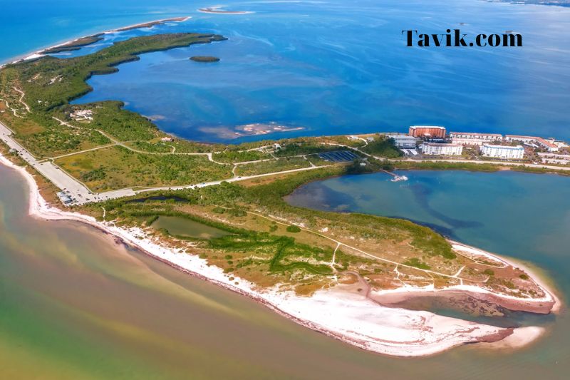 Honeymoon Island Beach