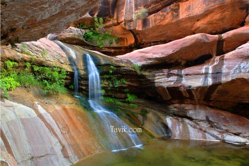 Is there a place to swim in Zion National Park?