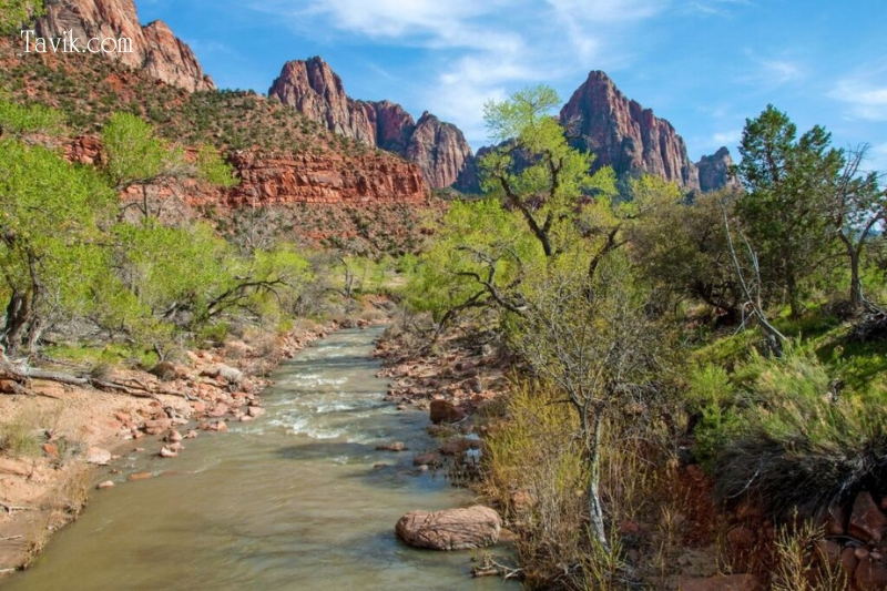 Swimming in Zion National Park at its Best